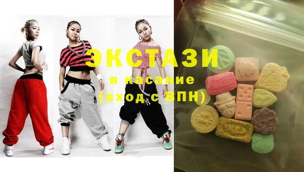 шишки Надым