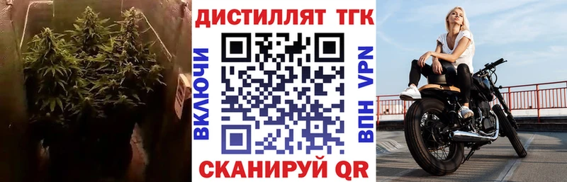 купить  сайты  Ковдор  ТГК гашишное масло 