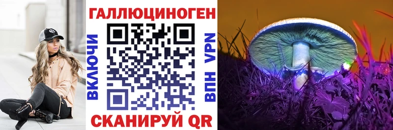 даркнет Telegram  OMG ТОР  Галлюциногенные грибы GOLDEN TEACHER  Ковдор  продажа наркотиков 