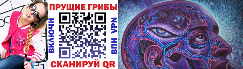 Галлюциногенные грибы Magic Shrooms Ковдор